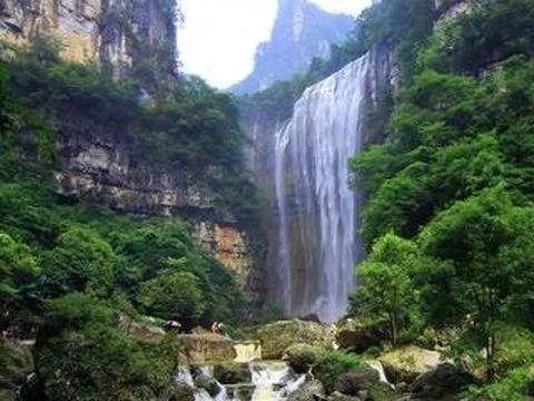 凤梨(菠萝)与梨有关系吗?-你身边最实用的红迪网平台